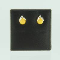 Ohrstecker Marienk�fer Bernstein milchig