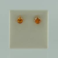 Ohrstecker Marienk�fer Bernstein braun