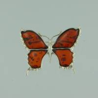 Brosche Schmetterling Bernstein braun